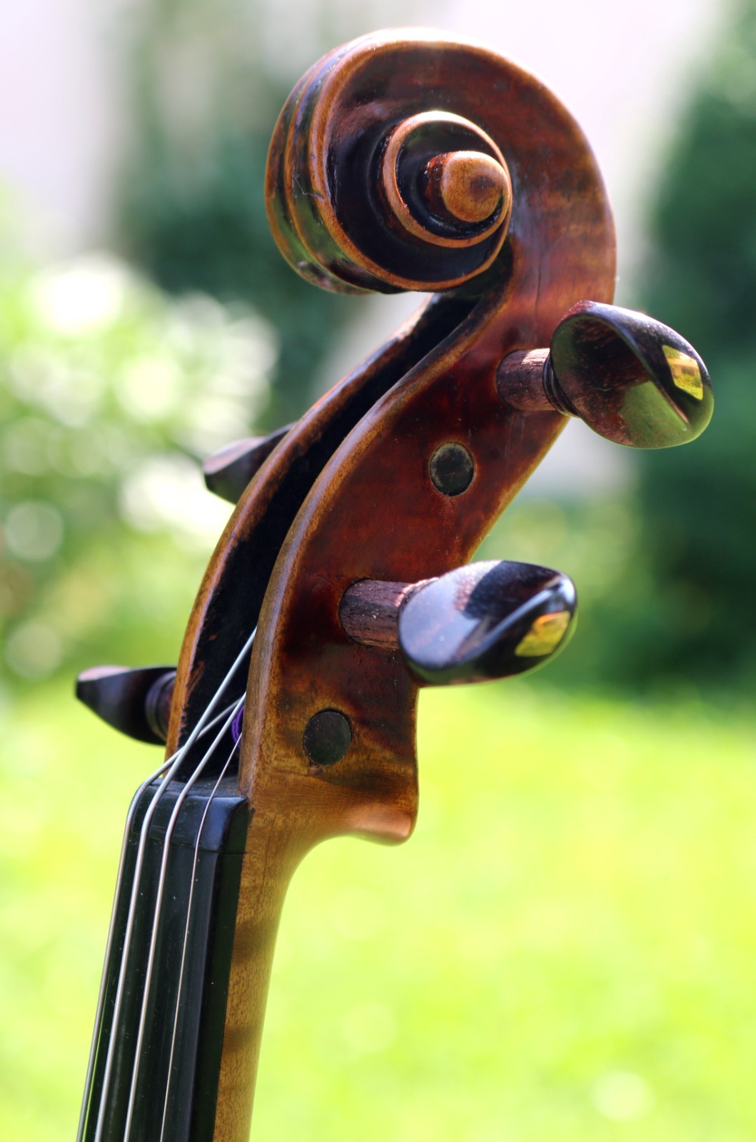Viennese violin by Michael I. Stadlmann